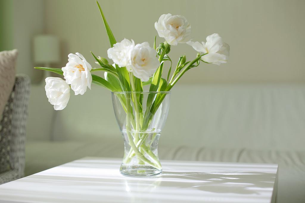Apartments In غروندو المظهر الخارجي الصورة